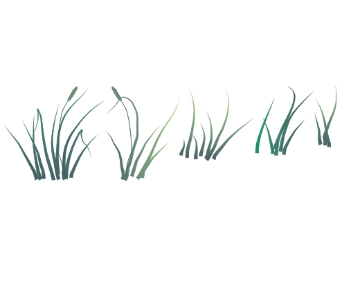 46e1a06fc78f7176.png